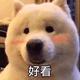 天天都堵车头像