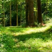 浮云1479376301000的个人资料头像