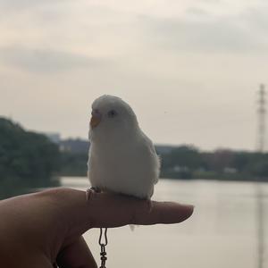 零零七头像