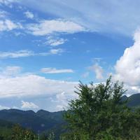 一支玉独秀头像