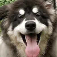 用户8307315719182头像