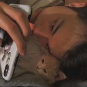 Key455的个人资料头像