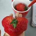 飞心志头像