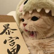 Duke_的个人资料头像