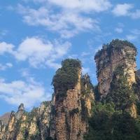 重庆大房子头像