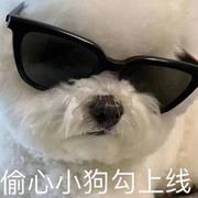 艾小辰的个人资料头像