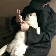 xiao宁的个人资料头像