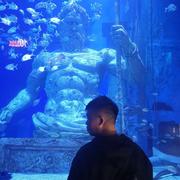 Allen911的个人资料头像