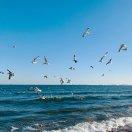 技师的个人资料头像