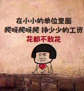 小次冈的个人资料头像