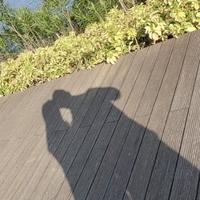 爽朗的博学多才的贝贝头像