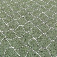 远见卓识海风lOJ头像