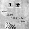 新艺凡广告头像