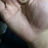 魔法风铃wz9头像