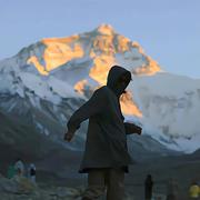 鸢尾333的个人资料头像