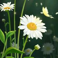 子叶花开葬风雪头像