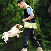 宠物行为培训黄帆头像