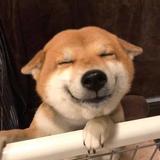 不问东西0000头像