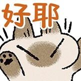 MadC的个人资料头像