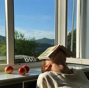 懒人桌的个人资料头像