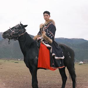 Прячущаяся белка