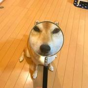 Leo922的个人资料头像