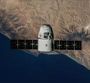 西柚ZzZ的个人资料头像