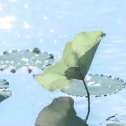 存款不过两位数的个人资料头像