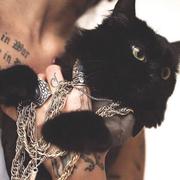 像触电的个人资料头像