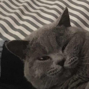 毛孩子的个人资料头像