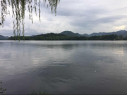 donaldfischer的个人资料头像