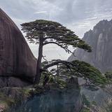 山高人为峰8177头像