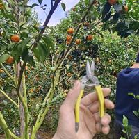 用户6512386726009头像