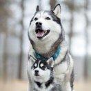 起名字太难了的个人资料头像