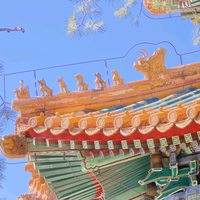 用户8627026558614头像