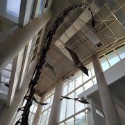 no_way88的个人资料头像