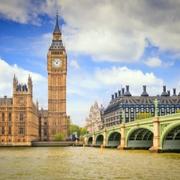 风染林绿的个人资料头像