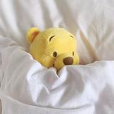 小苗最无敌头像