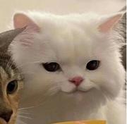 用户9367455138841的个人资料头像