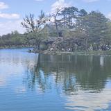 我心依旧之烟笼十里堤头像