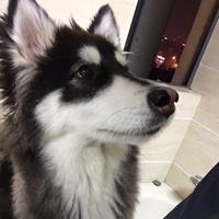 用户3782386530292头像