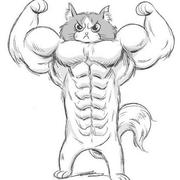 高级摸鱼师的个人资料头像