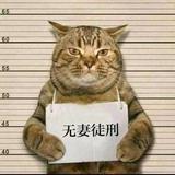 何去何从7758头像