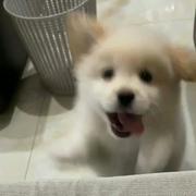 流星528的个人资料头像