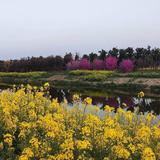 寻寻觅觅9942头像