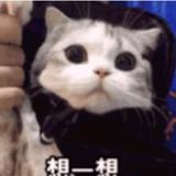 用户68696183头像