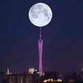 锋芒毕露80头像