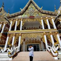 放弃有一万种理由头像