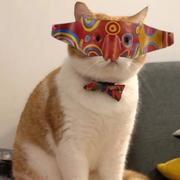 保持新鲜的个人资料头像