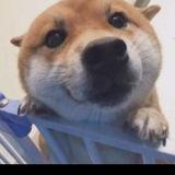 独尊541头像